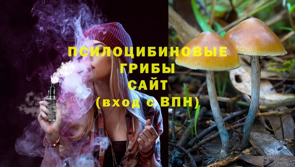 ECSTASY Кинешма
